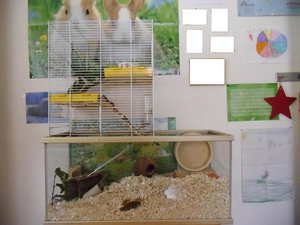 CIMG1215.JPG CIMG1215.JPG