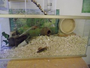 CIMG1216.JPG CIMG1216.JPG