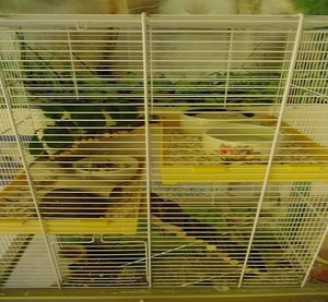 CIMG1217.JPG CIMG1217.JPG