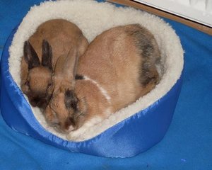 dyjlhv6w6k0weqngfvah77lz59m.jpg dyjlhv6w6k0weqngfvah77lz59m.jpg