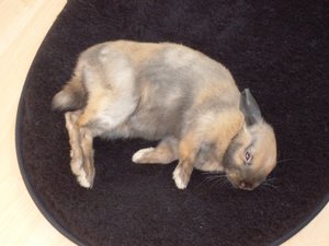 17dnfs27kvzts04dfky9jy8bz6g.jpg 17dnfs27kvzts04dfky9jy8bz6g.jpg