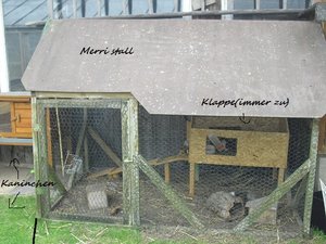 wb.mimmis-hoppels 083.JPG