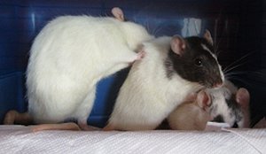 IMG_0740.JPG IMG_0740.JPG