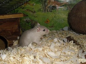 Riki & Micky (6) kleiner.jpg