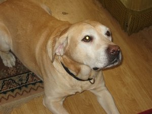 Ben Befehl Platz.JPG