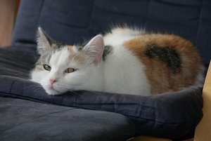 IMG_4234 - Kopie.JPG