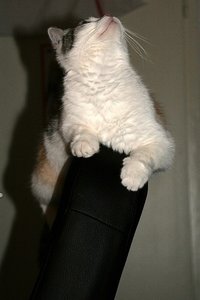 IMG_5366 (2) - Kopie.jpg