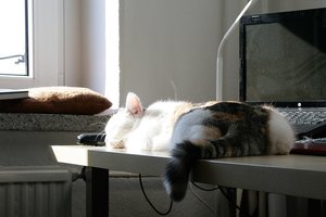 aIMG_4371 - Kopie.jpg