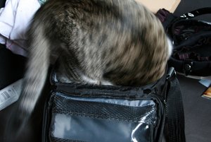 IMG_0179 - Kopie.JPG