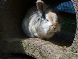 P1040240.JPG P1040240.JPG