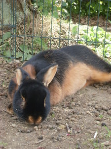 SDC12205.JPG SDC12205.JPG