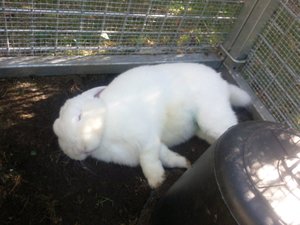 Foto1439.jpg Foto1439.jpg