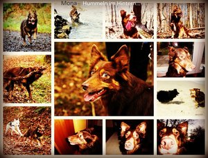 1PicMonkey Collage 1 klei er TF.jpg