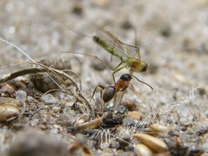 DSCF0833wa.jpg DSCF0833wa.jpg