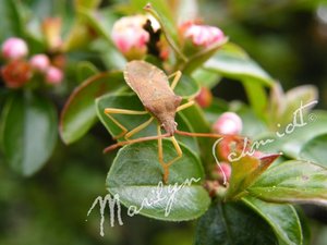 DSCF1019wa.jpg DSCF1019wa.jpg