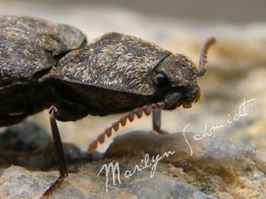 DSCF1039wa.jpg DSCF1039wa.jpg