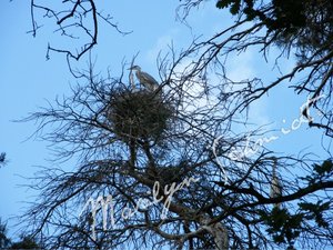 DSCF1100awb.jpg DSCF1100awb.jpg