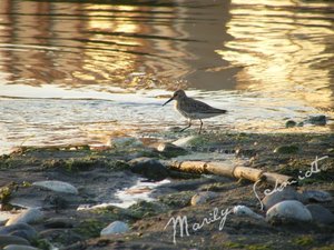 DSCF3842a.jpg DSCF3842a.jpg