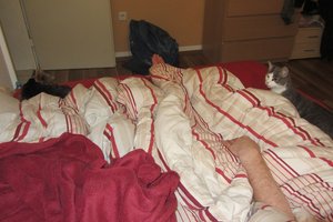 IMG_6779.JPG IMG_6779.JPG