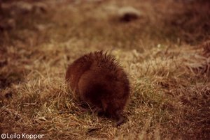 IMG_2779.JPG IMG_2779.JPG