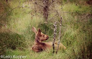 44289_430355254724_599084724_4800667_8035117_n.jpg 44289_430355254724_599084724_4800667_8035117_n.jpg