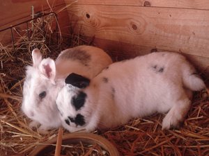 Favorit 3.JPG Favorit 3.JPG