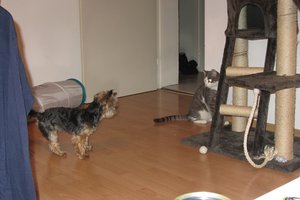 IMG_6837.JPG IMG_6837.JPG