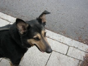 Dezember 2011 019.JPG