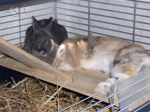 CIMG1088 - Kopie.JPG CIMG1088 - Kopie.JPG