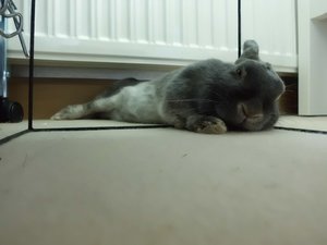 CIMG2626 - Kopie.JPG CIMG2626 - Kopie.JPG