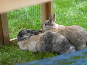 Amy & Sunny (11).jpg Amy & Sunny (11).jpg