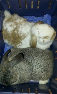 20120517_145408-1.jpg 20120517_145408-1.jpg