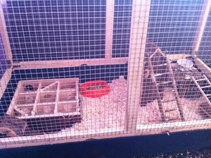 IMG_4155.jpg IMG_4155.jpg