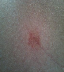 IMG_0173.JPG IMG_0173.JPG