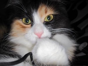 IMG_2585.jpg IMG_2585.jpg