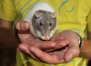 IMG_5572 (2).JPG IMG_5572 (2).JPG