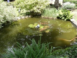 DSCF0441.JPG DSCF0441.JPG