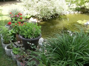 DSCF0442.JPG DSCF0442.JPG