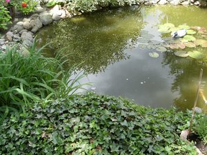 DSCF0443.JPG DSCF0443.JPG