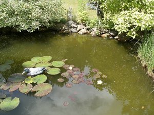 DSCF0444.JPG DSCF0444.JPG