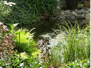 DSCF0447.JPG DSCF0447.JPG