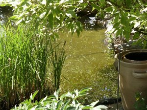 DSCF0448.JPG DSCF0448.JPG