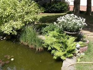 DSCF0445.JPG DSCF0445.JPG