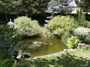 DSCF0446.JPG DSCF0446.JPG