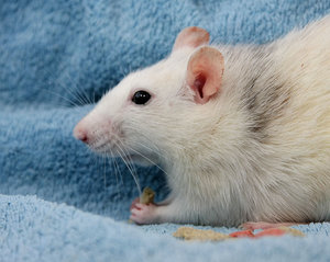 sandy_futter2.jpg sandy_futter2.jpg