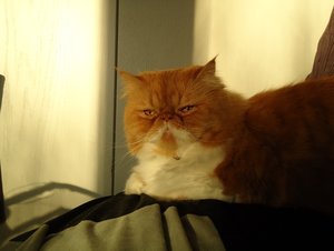 ADSC01565 kleiner TF.jpg