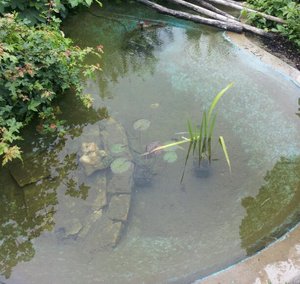 20120611_172049-1.jpg 20120611_172049-1.jpg