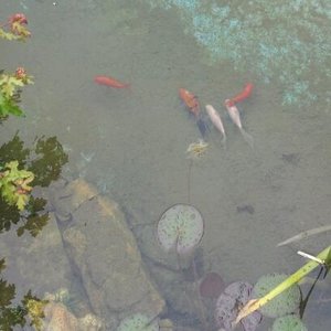 20120611_171953-1.jpg 20120611_171953-1.jpg