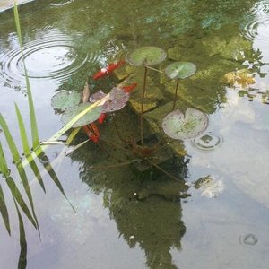 20120611_172559-1.jpg 20120611_172559-1.jpg