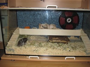 mit bewohner.JPG mit bewohner.JPG